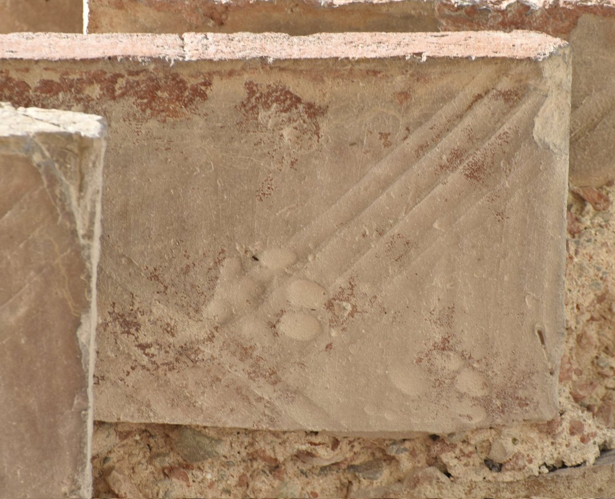 Dog footprints in Byzantine brick from the walls of Nicaea/modern İznik

Photo from yesterday's visit