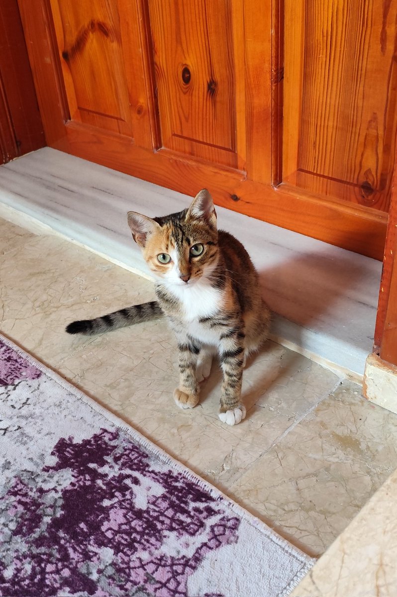 guzelligine bakar misiniz