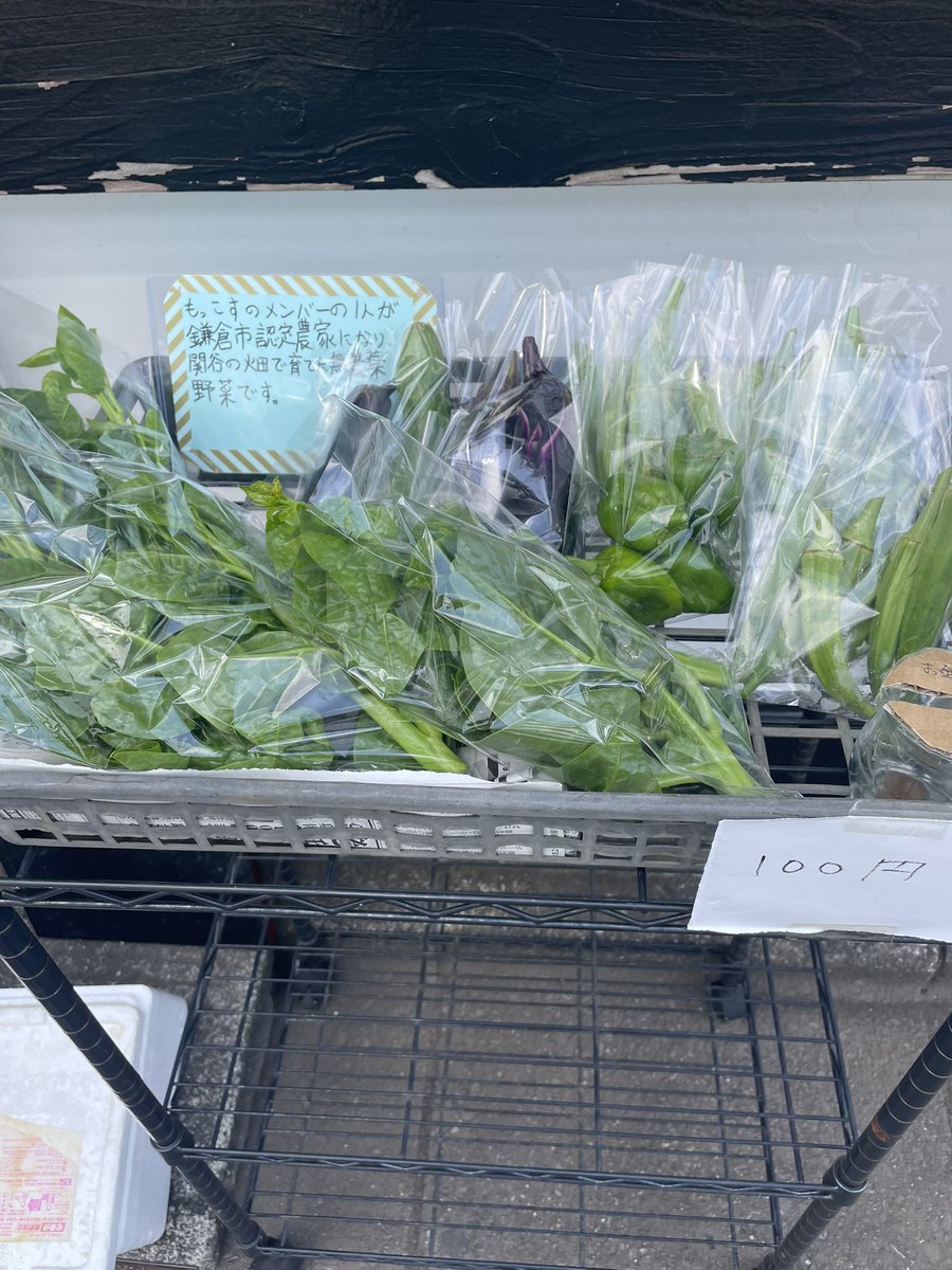 明日13日土曜日10:30〜14:30まで、野菜出しまーす🥬🫛
オクラ、泉州の水茄子、キュウリ、ツルムラサキ、紫蘇の葉、モロヘイヤになります。

泉州の水茄子は２つ入りで200円
（漬物に最高です）

後は、全部100円です。

もっこすの店前で無人販売してます。ちなみに今、お店も土曜日営業してます🈺
