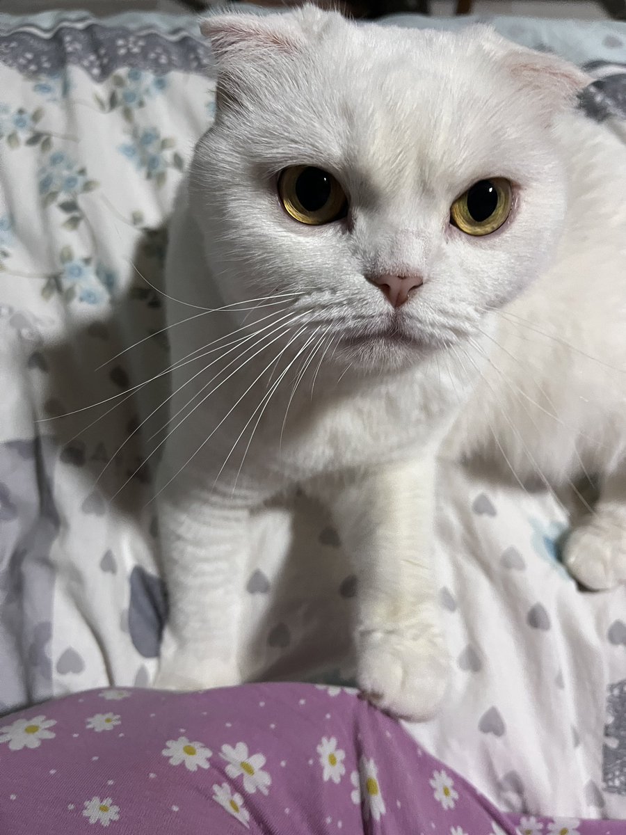 ne va buvnumu buka soktumsam ?