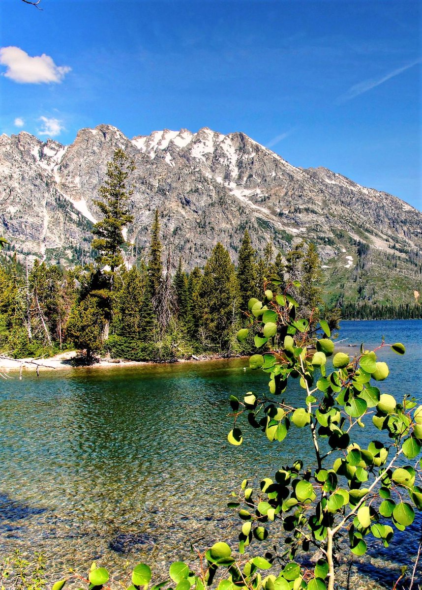 AliceSmith72872's tweet image. Grand Teton National Park,Wyoming-USA.