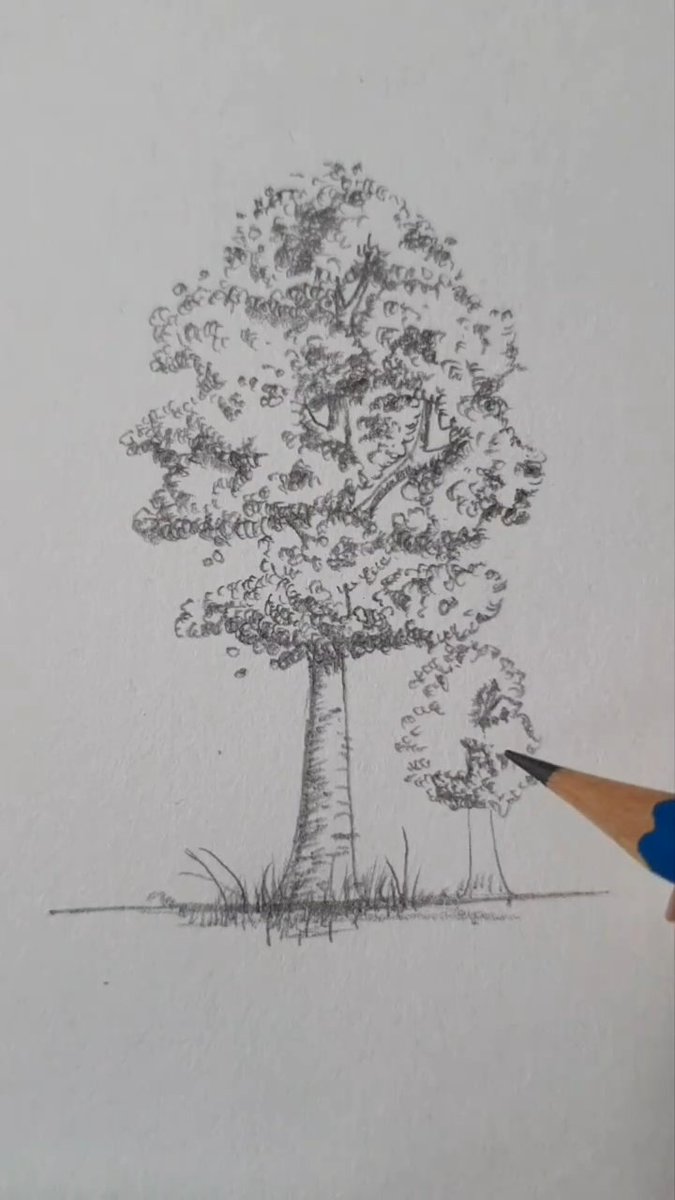 MoonArt25454's tweet photo. ๐ณโ๏ธ๐ Just a small sketch...โจ๐ฟ๐๐
#DrawingArt ๐จ #PencilSketch โ๏ธ #TreeVibes ๐ณ #NatureLove ๐ #SimpleBeauty ๐ธ #CalmMood ๐ชท #ArtFlow ๐ซ https://t.co/fmCbX8oEmM
