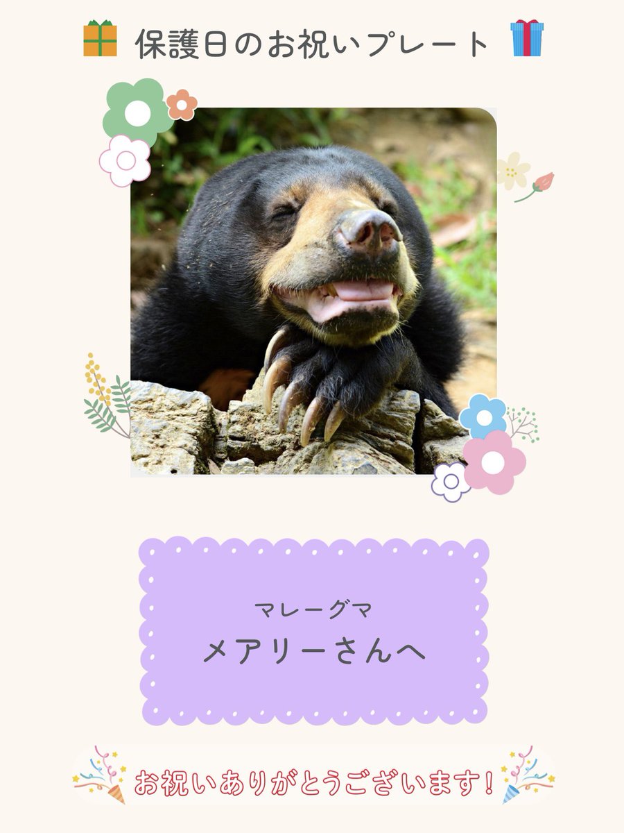 動物たちの応援サイト｜Hello!OHANA（ハローオハナ