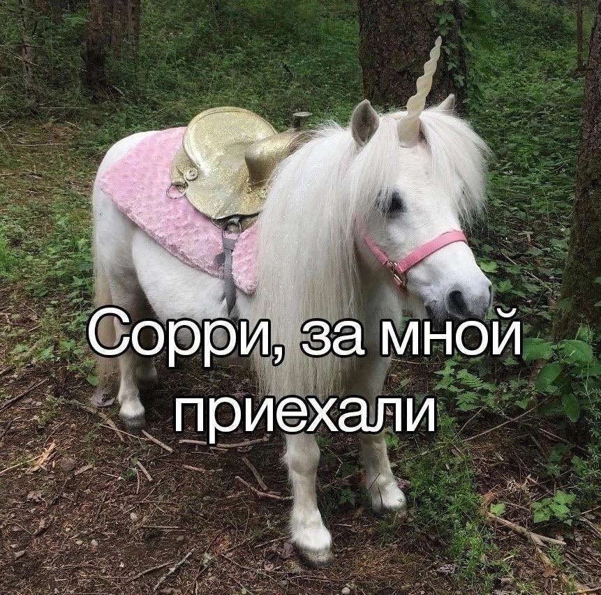 аконитовое зелье (@akonitmood) on Twitter photo 