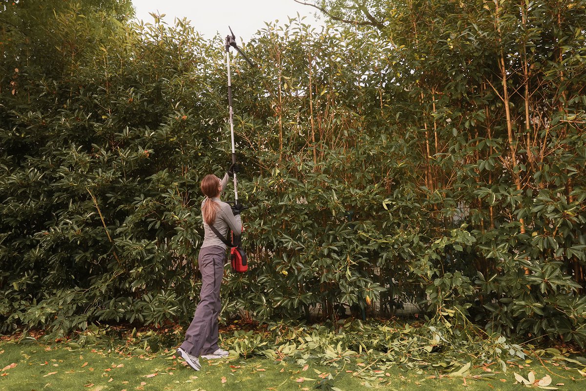 DCKTOOLS_NA's tweet photo. 🌿✂️ Tall, hard-to-reach branches? Stay safe on the ground &amp; trim like a pro with the DCK 58V Brushless Pole Hedge Trimmer: ✅ Up to 4m reach ✅ 18" dual-action blades ✅ Just 2.58kg ✅ Multi-tool ready 🔋 58V power. Trim smarter, not harder! 💪🍃 #DCKTools #58V #GardenCare https://t.co/O9z84hYBgP