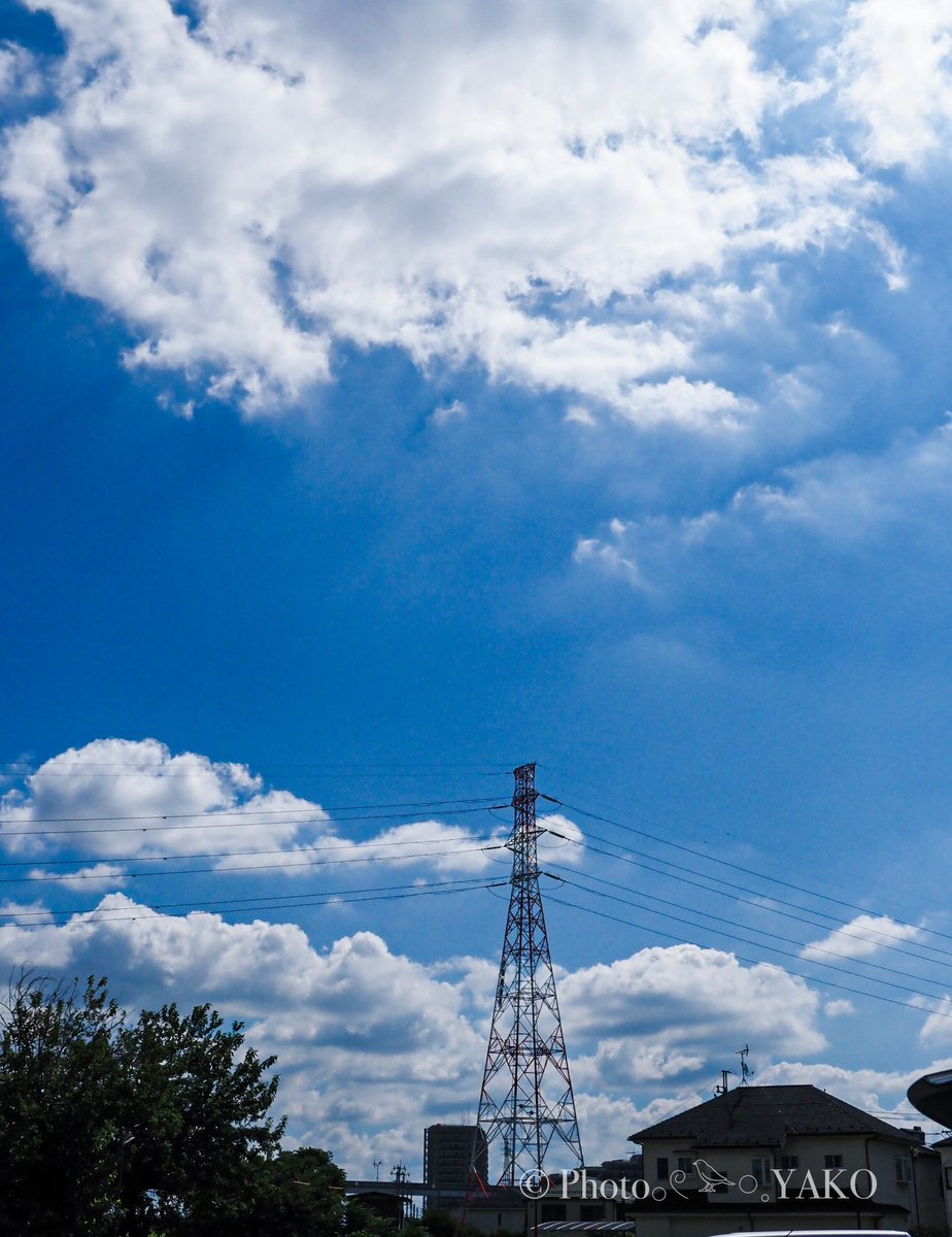 ☆青空☆ページ 青空☆さんのプロフィールページ