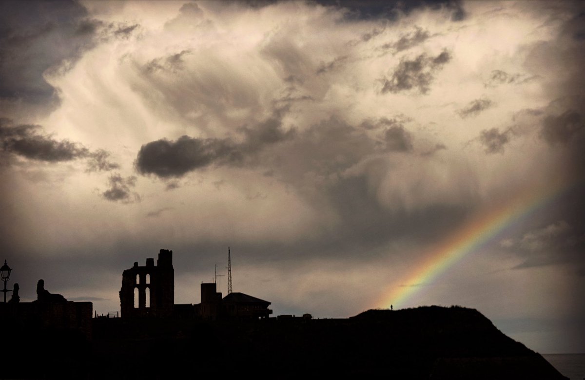 PermanentlyExhaustedPigeon tweet media