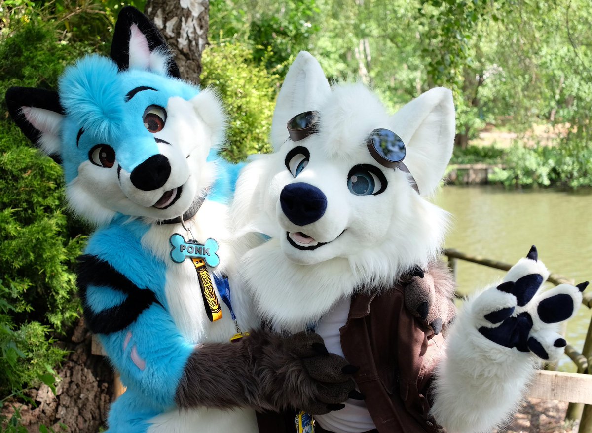 Two silly creatures at the GFI shoot 🦊🐺 #FursuitFriday