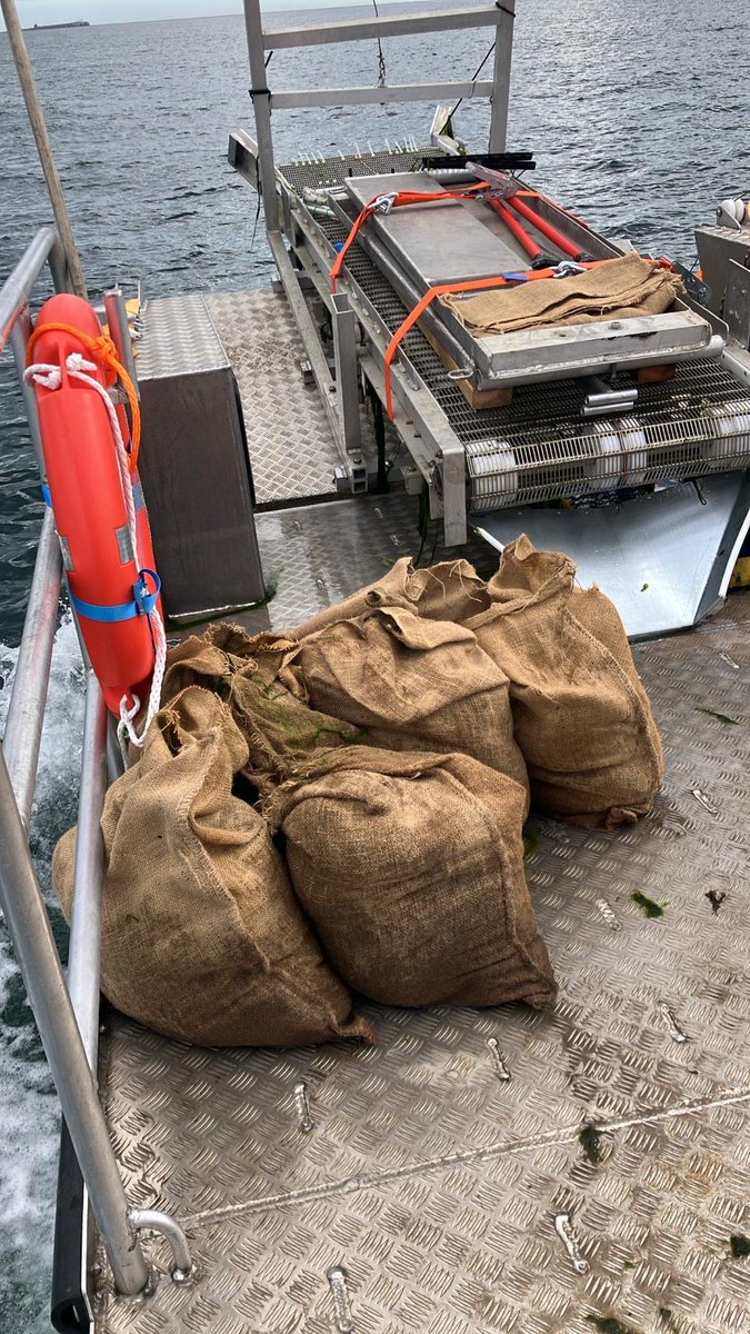 LIFE WADER tweet media