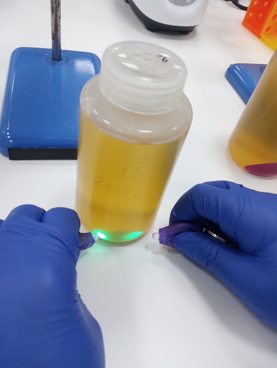 National Centre for Biotechnology Education tweet media