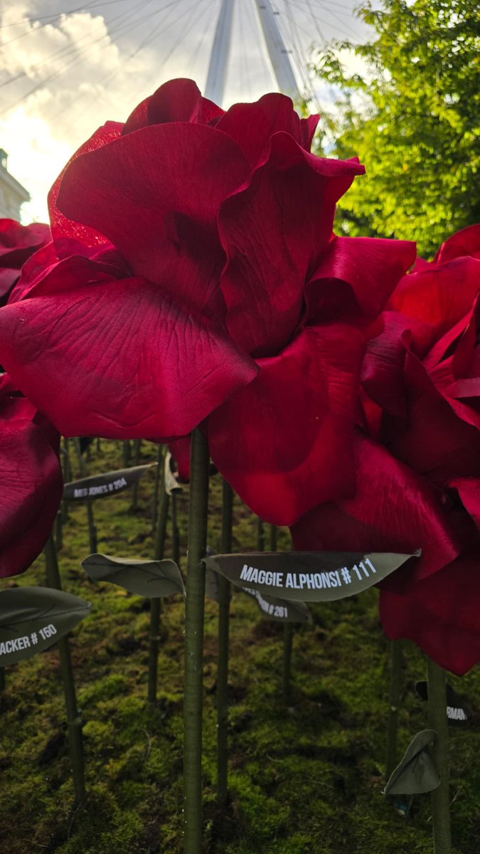 Maggie Alphonsi MBE tweet media