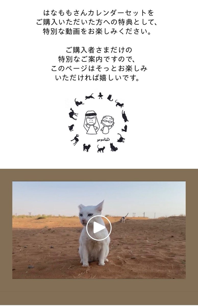 gallerykirin's tweet photo. 特別な動画を見ていただけるページを絶賛制作中です。お楽しみに✨ https://t.co/cqhkiM4kVX