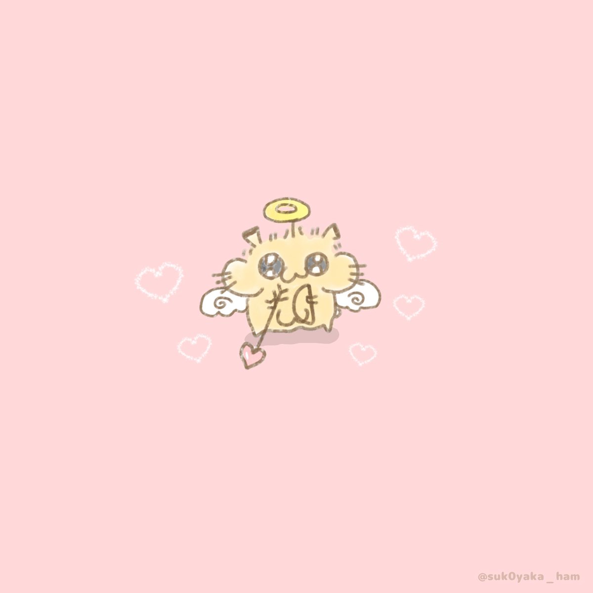 キュピド なるでち 🐹
#ﾁﾎﾟﾊﾑ
