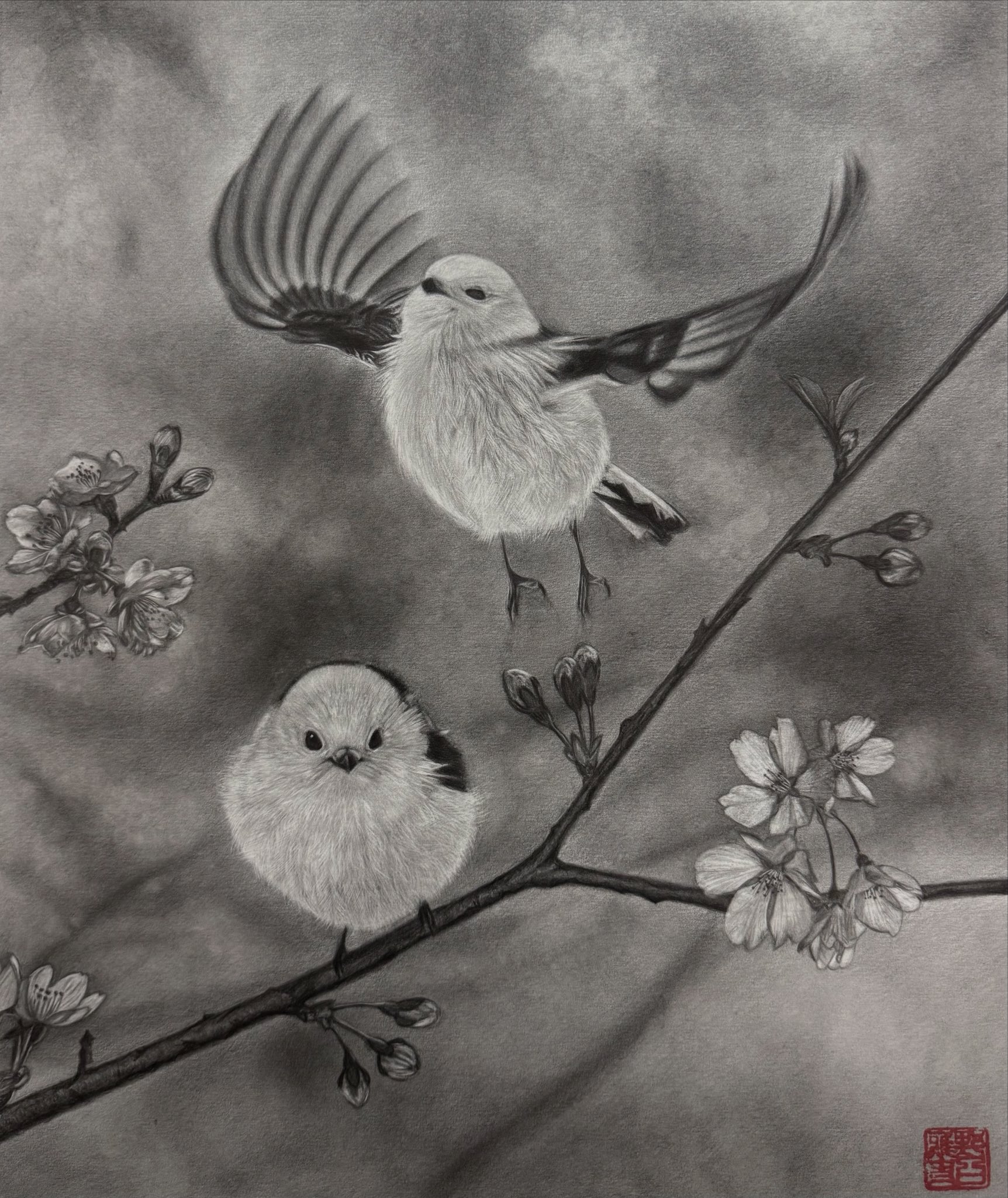 鉛筆画　オーダー画面 オーダーメイド色鉛筆画(A4サイズ) | ペットの肖像画屋さん