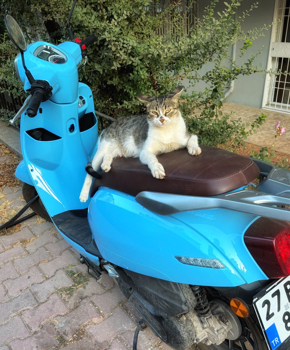 Motura ters binmişsin çocik, dedim. Sikdir, dedi. Hiç terbiye kalmamış.