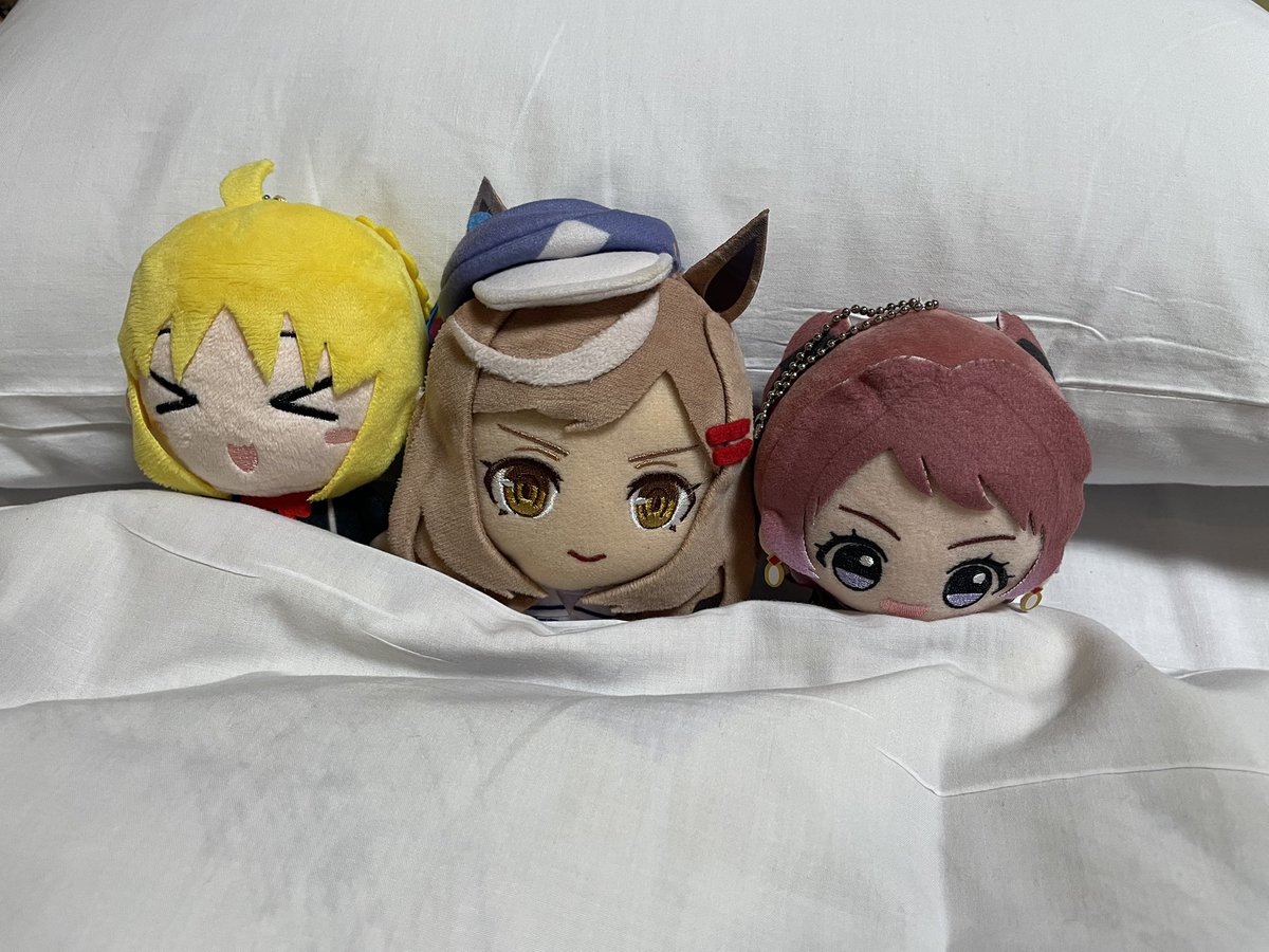 枕がデカすぎる‼️