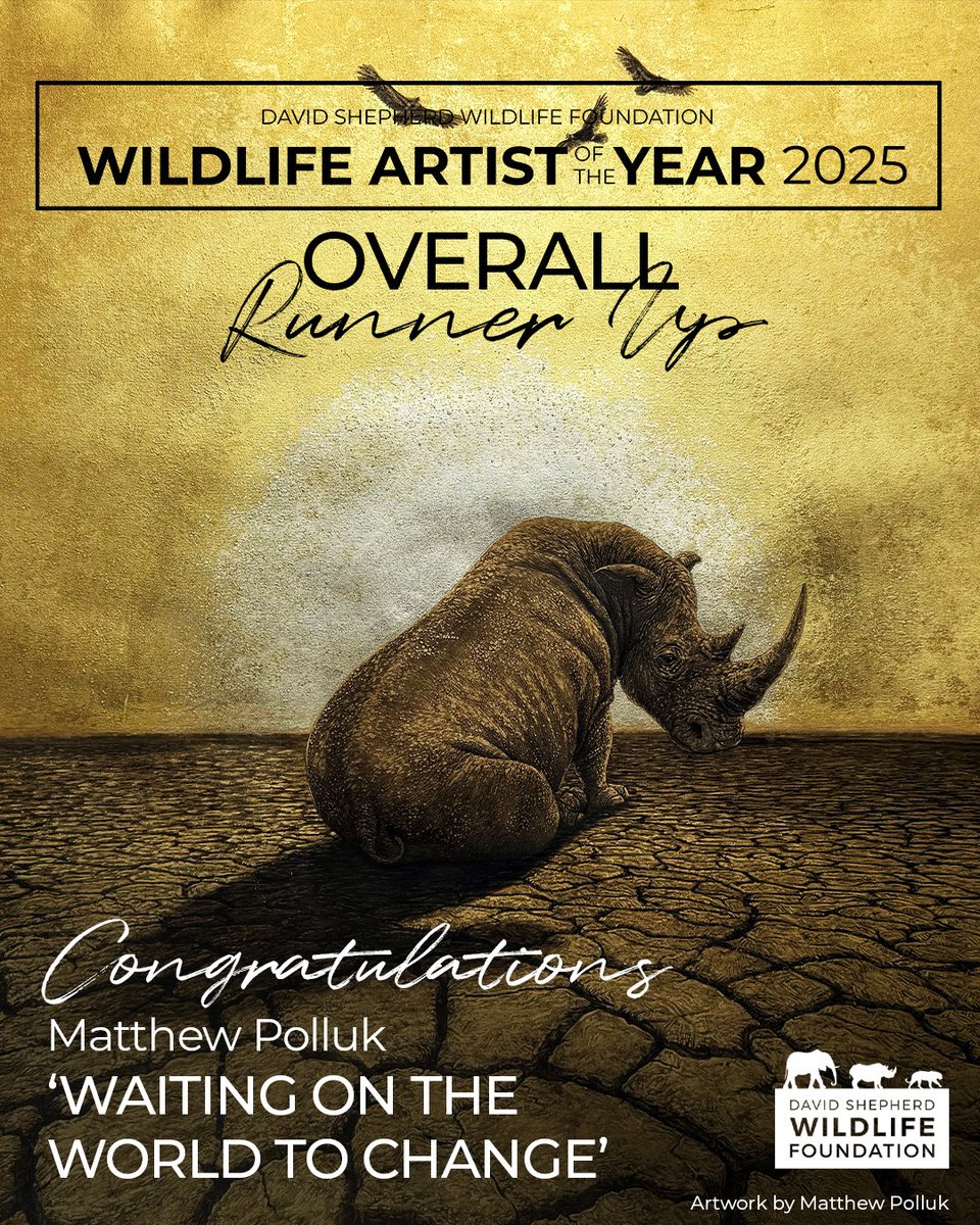 DSWFWildlife's tweet photo. Celebrating the Winners of Wildlife Artist of the Year 2025🎨

Now in its 17th year, WAY has become one of the world’s leading art competitions, uniting creativity, passion, and purpose in support of global conservation.

Click the link to discover them🔗 https://t.co/5pDtBzLpZC https://t.co/R50BLQBN8T