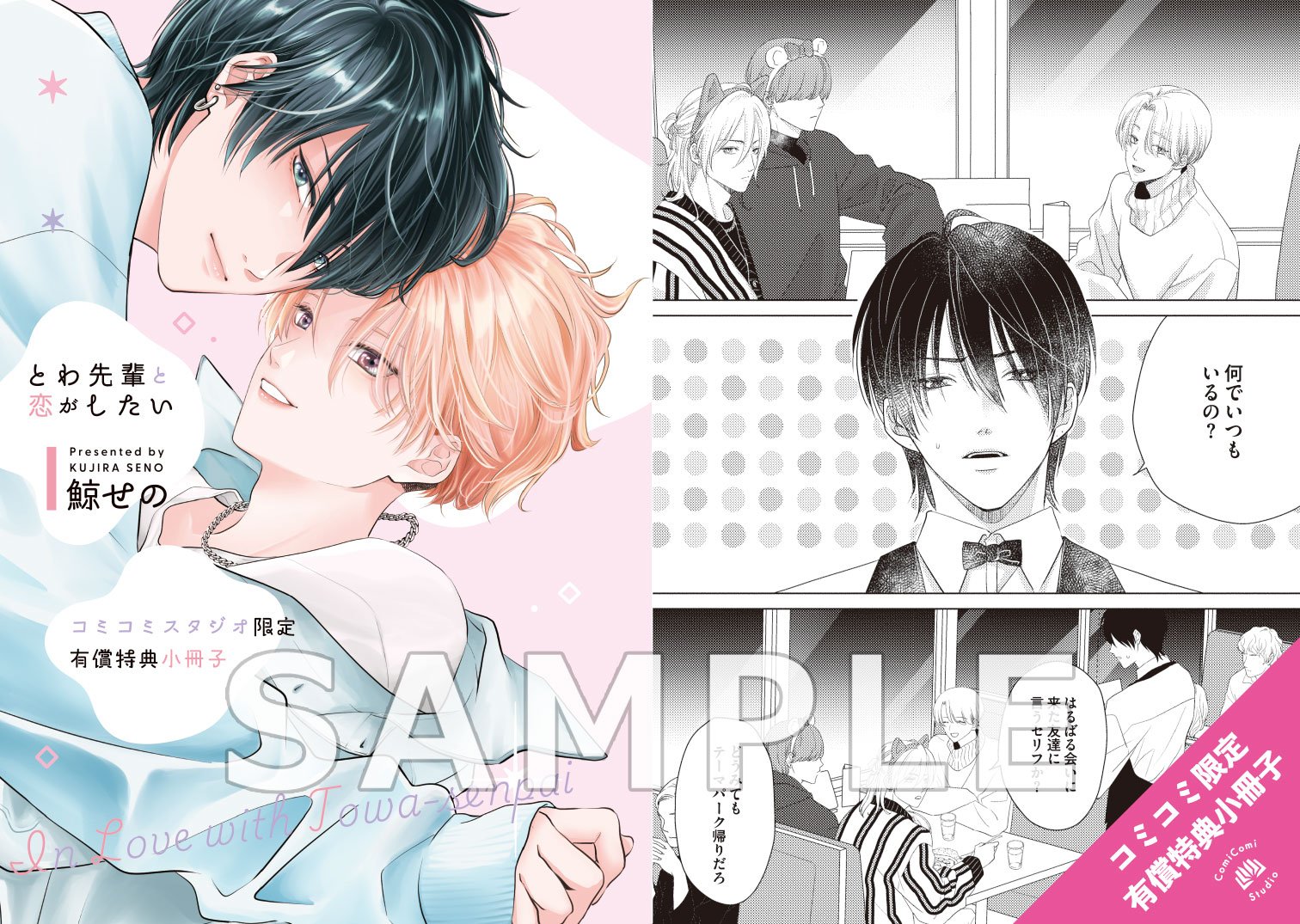 2～7巻特典セット 嫌いでいさせて アニメイト コミコミスタジオ とらのあな 愛の刺青 4社7特典セット アニメイト 小冊子 とらのあな