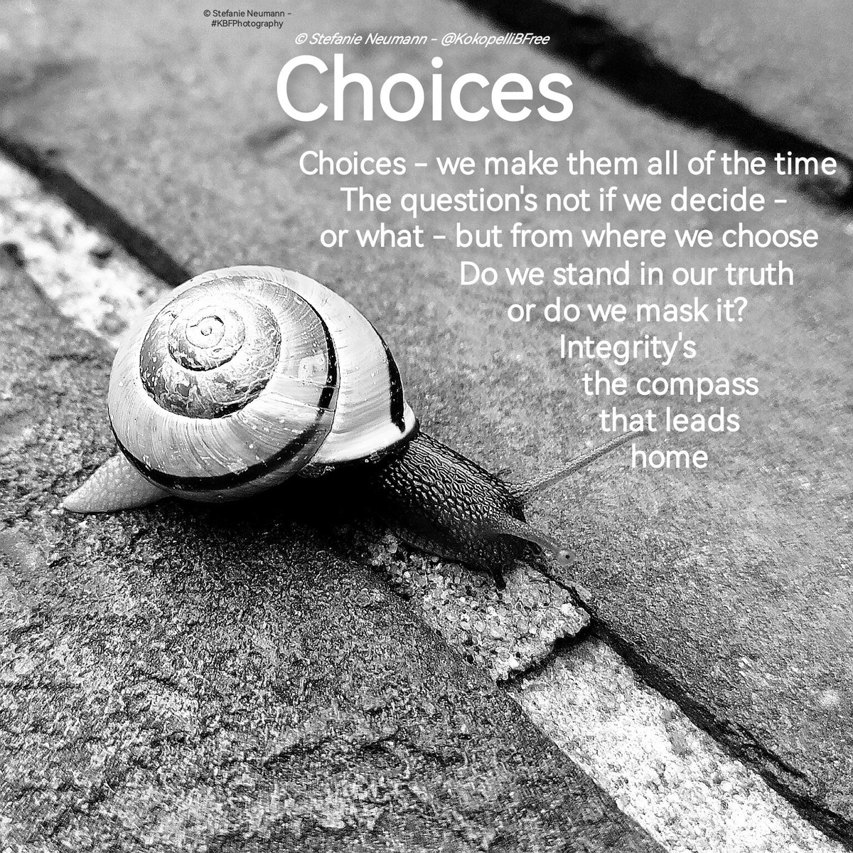 <a href="/The_PoetryArena/">BattleBorn</a> Choices

My contribution to this week's #BlueSkyArtShow ( #home ), and #BornBattleReady ( #choices ).

---
#WritinCommunity #poetry #nonet
#KBFPhotography #MobilePhonePhotography #Photography