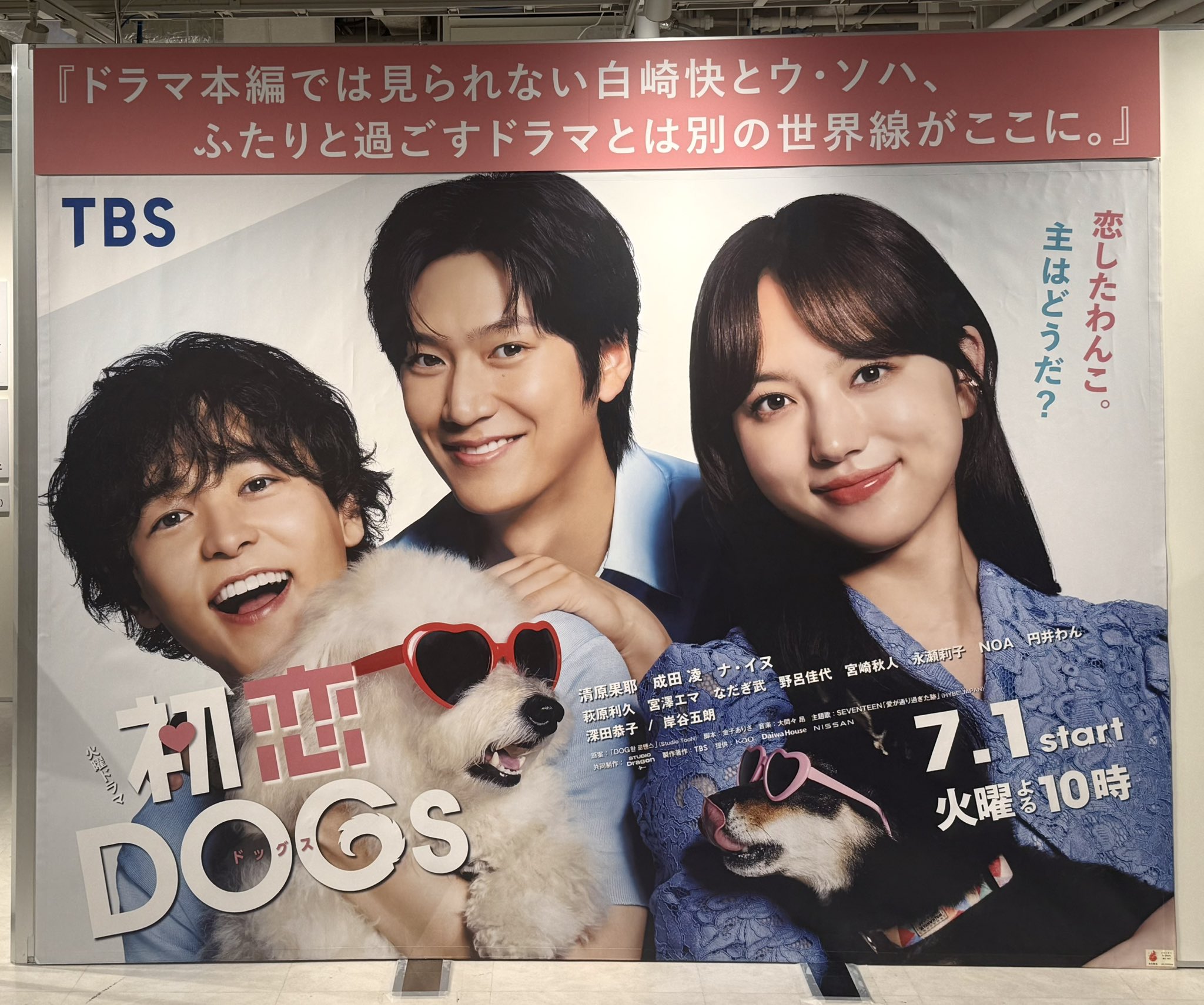 DVD / 愛はどうだ 全5巻セット 緒形拳 清水美沙 つみきみほ 渋谷琴乃