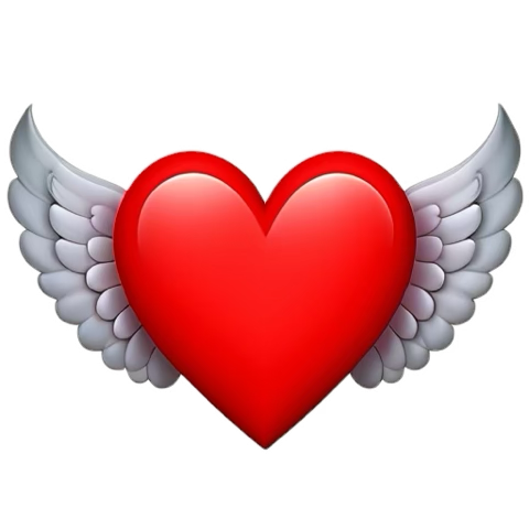 theishfaq09's tweet photo. @binteislam65 ♥️🥰 https://t.co/44gb2HzolU