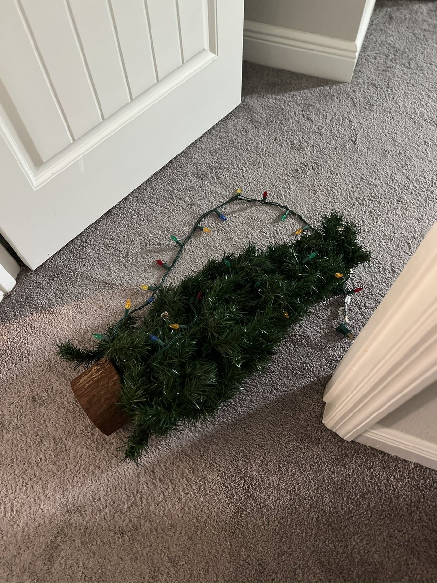 BizScanApp's tweet image. What it’s like having two young kids…I have so many questions.