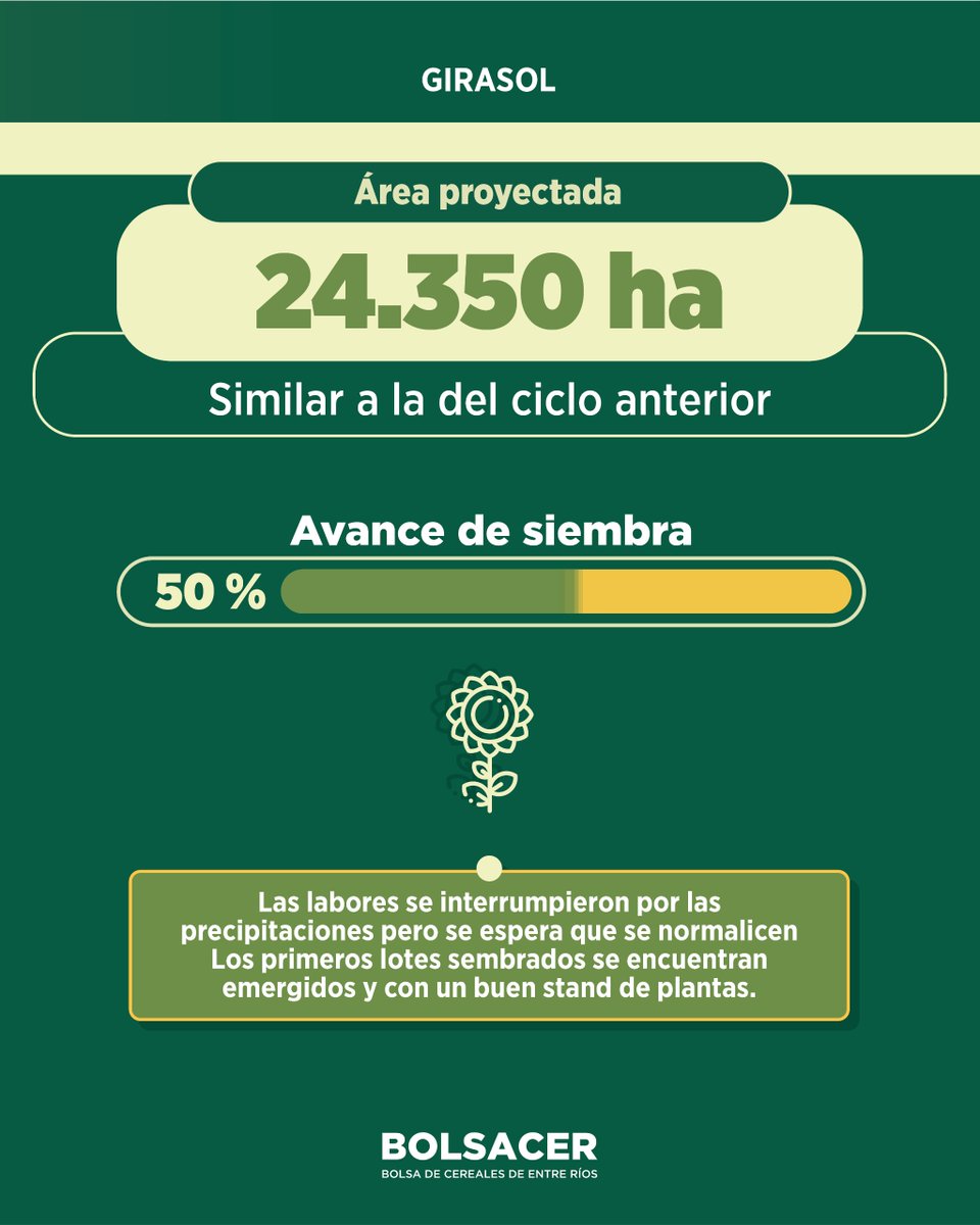 Avanza la siembra de girasol y de maíz de primera.

+INFO ℹ👉bolsacer.org.ar/site/avanza-la…

#BolsaCER #BolsaDeCereales #EntreRíos #Maíz #Girasol
