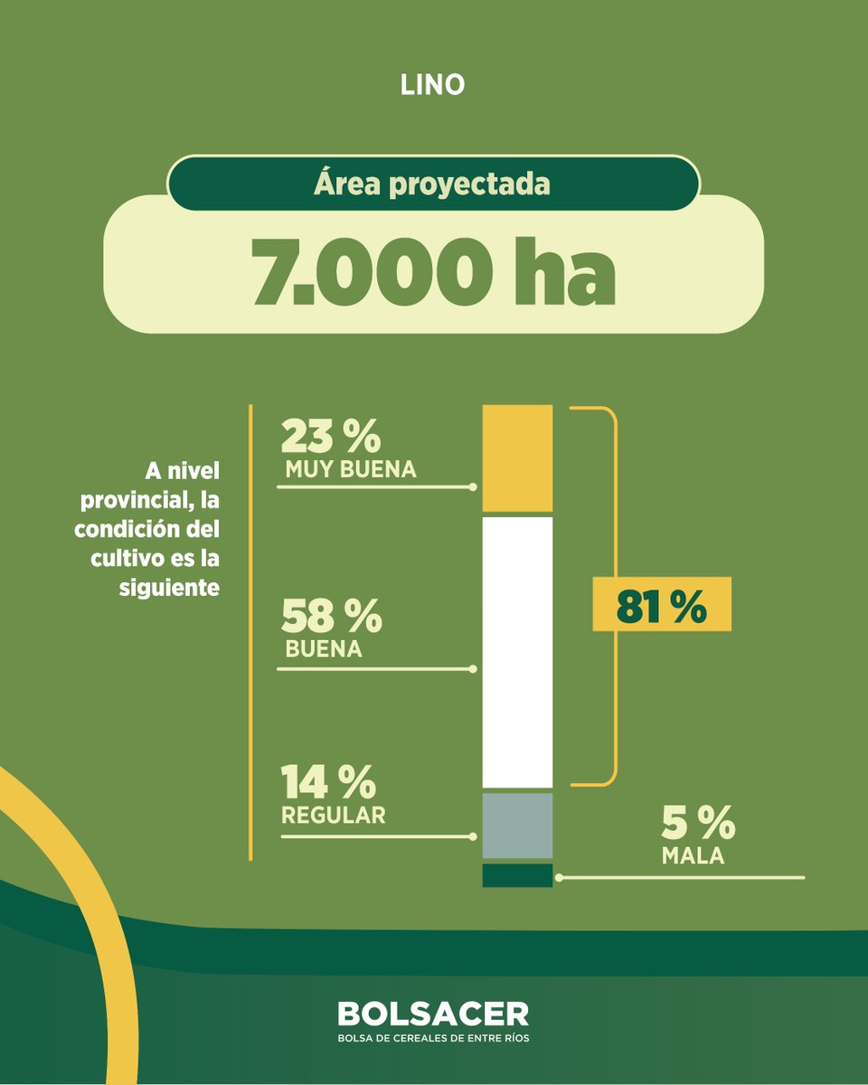 El 81% del lino entrerriano presenta una condición entre Buena y Muy Buena.
El estado fenológico del cultivo se enmarca en dos situaciones:
+INFO ℹ👉bolsacer.org.ar/site/el-81-del…

#BolsaCER #BolsaDeCereales #EntreRíos #Lino
