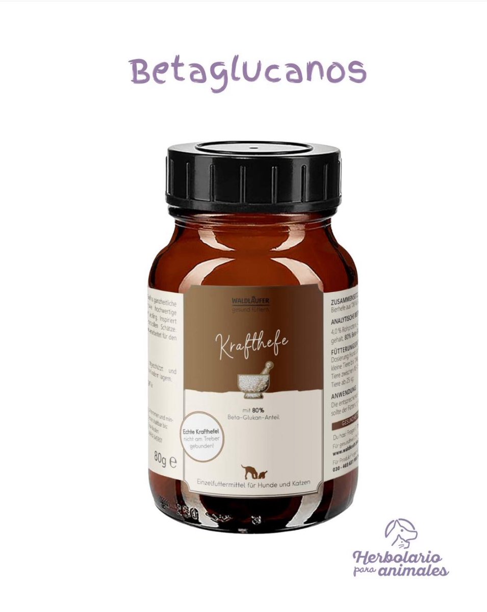 ¿Sabes qué son los betaglucanos y en qué benefician a tu perro o gato? Lee la información de este producto y lo entenderás 🐶😸

herbolariosoldeinvierno.es/tienda/levadur…

#levaduranutricional #betaglucanos #perrosygatos