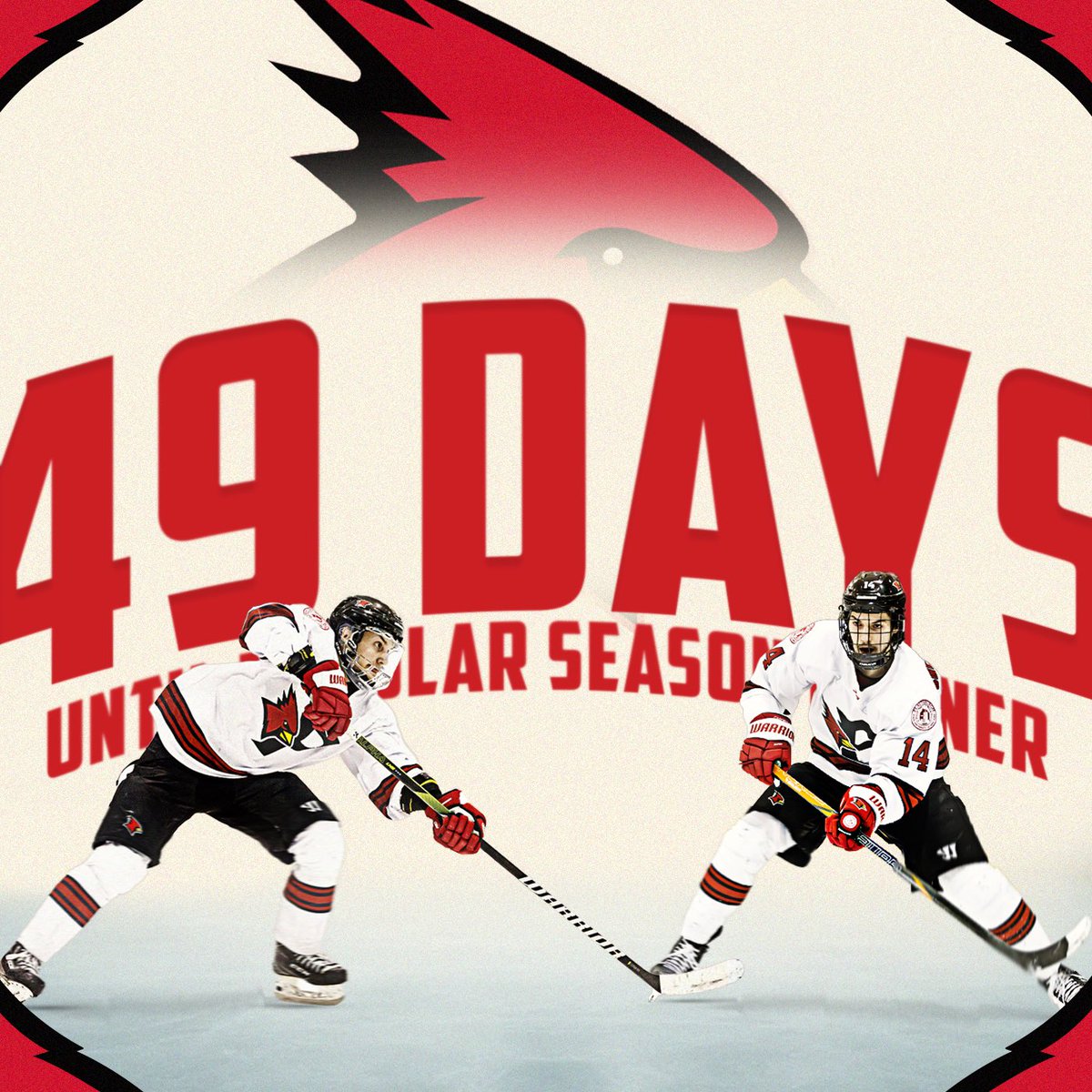 Plattsburgh State Men's Hockey tweet media