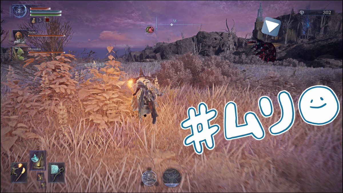 これはリムベルド降下直後のお通し拠点のすぐ横にいた赤いファッキンクソバードの禍々しい羽です