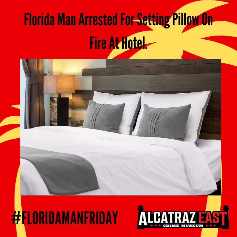 Maybe he just prefers the warm side of his pillow...🔥🛏️
#FloridaManFriday
