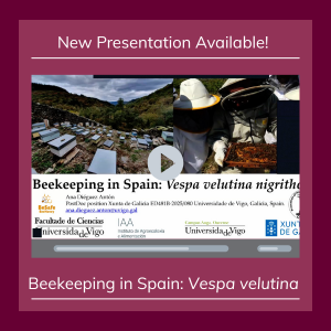 ProjectApism's tweet image. 🐝 New Presentation!
Dr. Ana Diéguez Antón compares beekeeping in Spain &amp;amp; Canada and addresses the threat of Vespa velutina.

🎥 Watch here: youtu.be/M1LBBHcocaA?si…

#HoneyBees #Beekeeping #VespaVelutina #BeeHealth #ProjectApism
