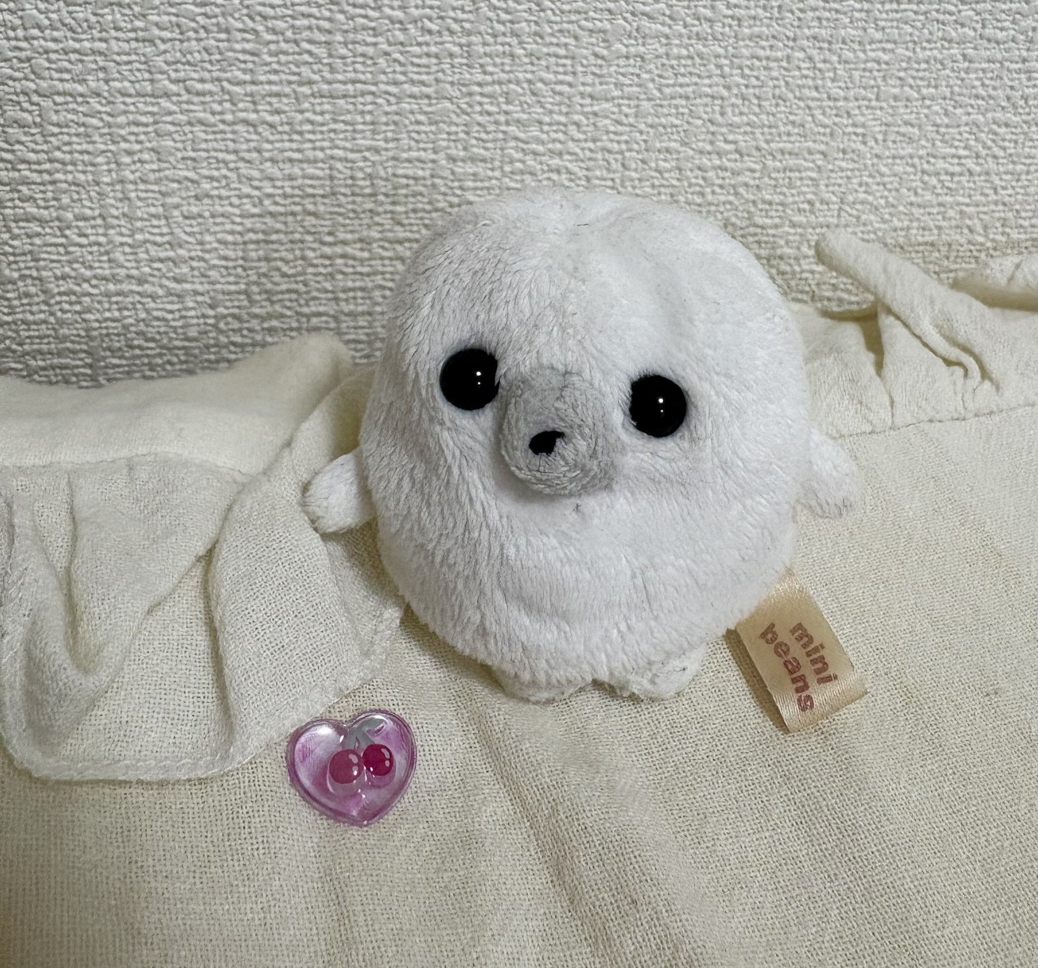 たまちゃんෆ˚⋆୨୧⋆˚ෆ on X: 