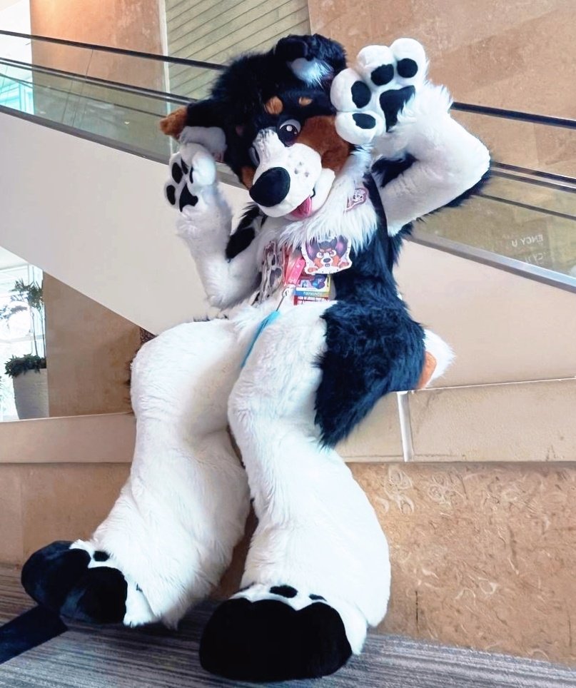 🌿 𝒵𝒾𝓃𝒸 (@zincisors) on Twitter photo Happy #FursuitFriday 💜🐾
.
.
📸: <a href="/acreeture/">Shroomie 🍄</a>
🪡: <a href="/Fullmoonspecial/">✨Full Moon Special✨</a> Happy #FursuitFriday 💜🐾
.
.
📸: <a href="/acreeture/">Shroomie 🍄</a>
🪡: <a href="/Fullmoonspecial/">✨Full Moon Special✨</a>