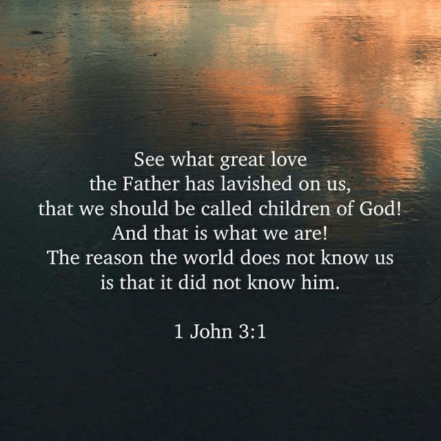 Lincoln Meschuk (@lincmeschuk01) on Twitter photo 