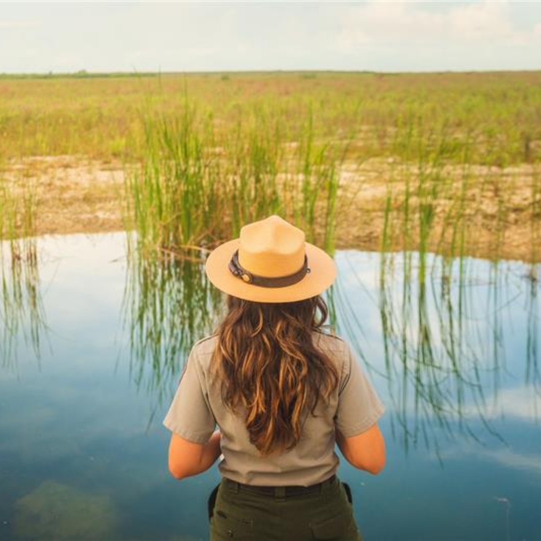 NPSYouth's tweet image. Calling all educators and national park explorers! We have the position for you! Become a seasonal Interpretation Park 🤠 Ranger at @BigCypressNPS, @EvergladesNPS, or @BiscayneNPS.

Learn more and apply now ➡️ usajobs.gov/job/841138600

📸 NPS  

#NPSYouth #Rangers #Interpretation