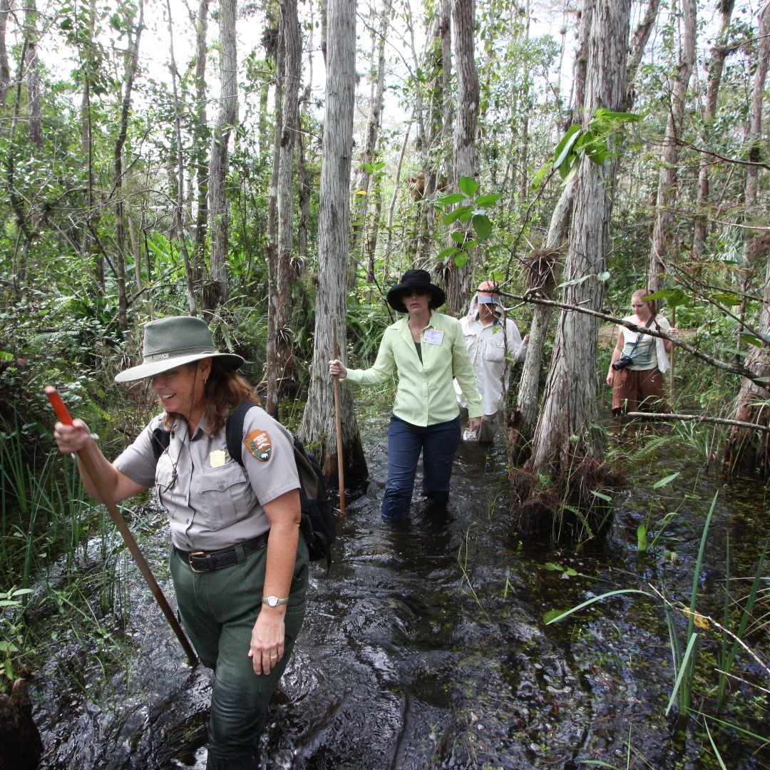 Calling all educators and national park explorers! We have the position for you! Become a seasonal Interpretation Park 🤠 Ranger at <a href="/BigCypressNPS/">Big Cypress Nat Pres</a>, <a href="/EvergladesNPS/">Everglades National Park</a>, or <a href="/BiscayneNPS/">Biscayne NP</a>.

Learn more and apply now ➡️ usajobs.gov/job/841138600

📸 NPS  

#NPSYouth #Rangers #Interpretation