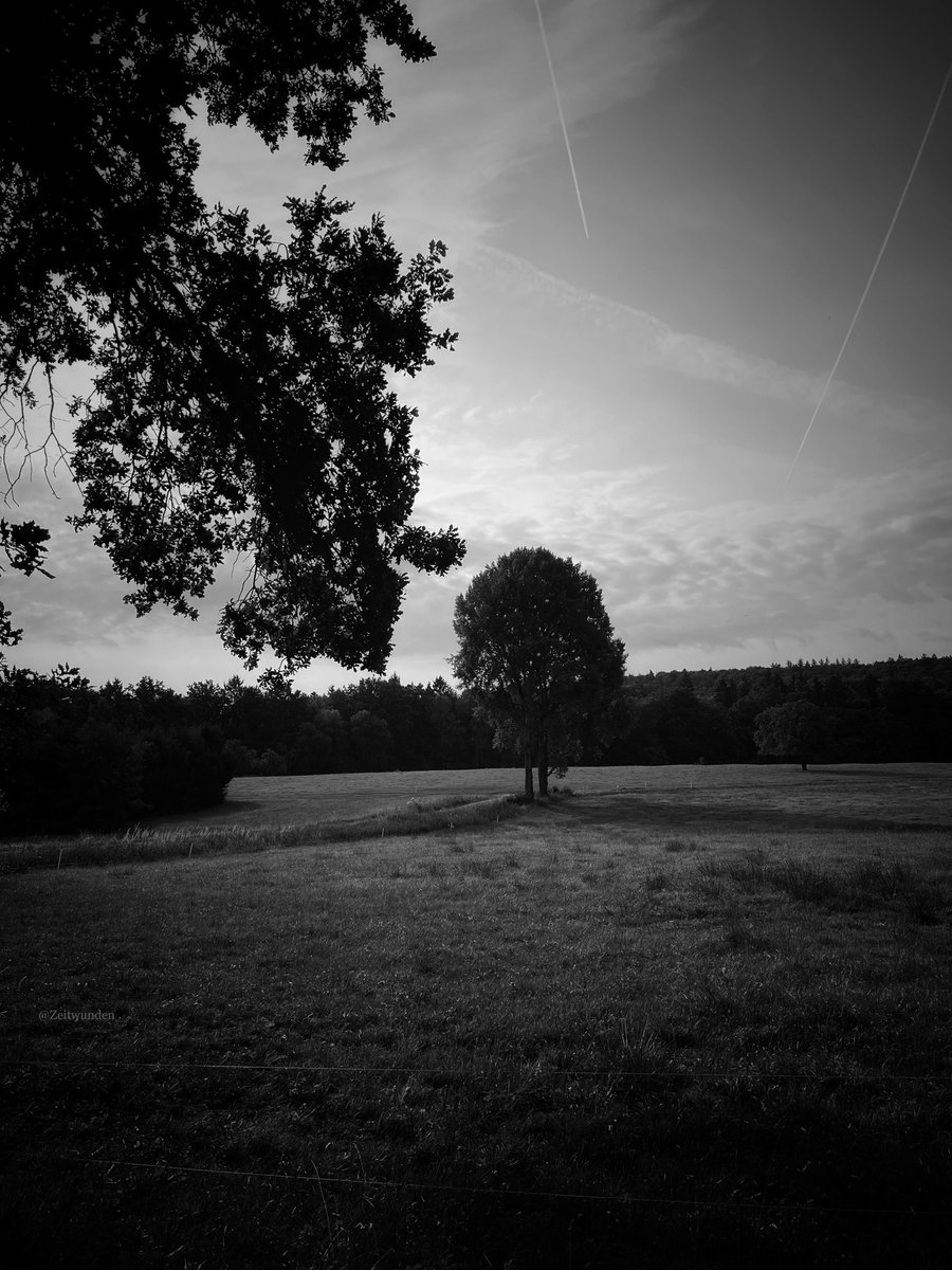 ƵϢ (@zeitwunden) on Twitter photo 