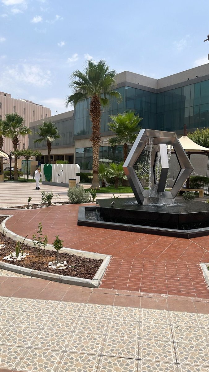 Layan Marzok tweet media