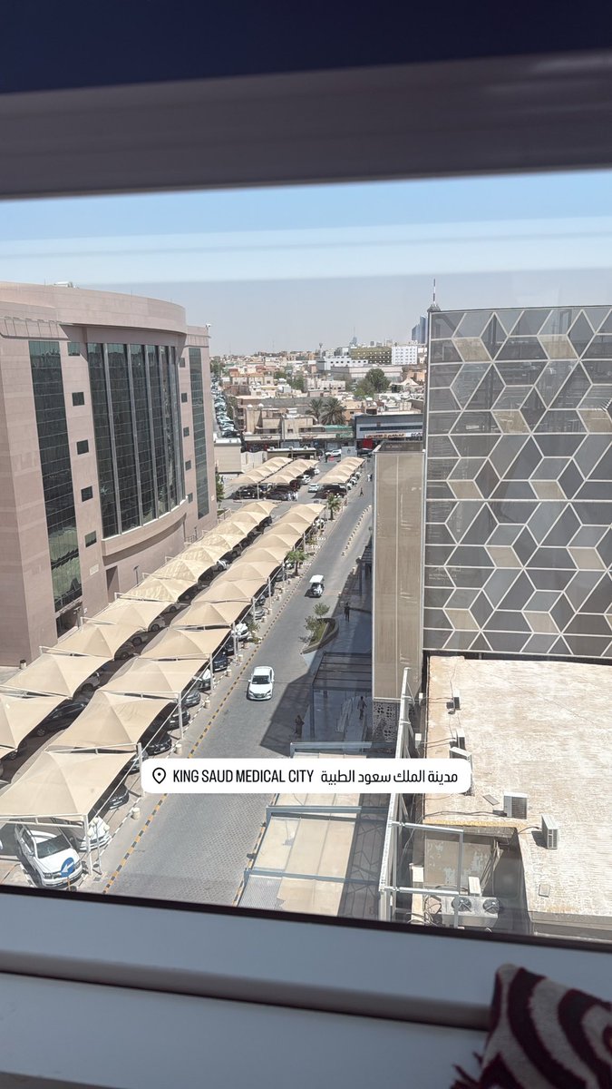 Layan Marzok tweet media