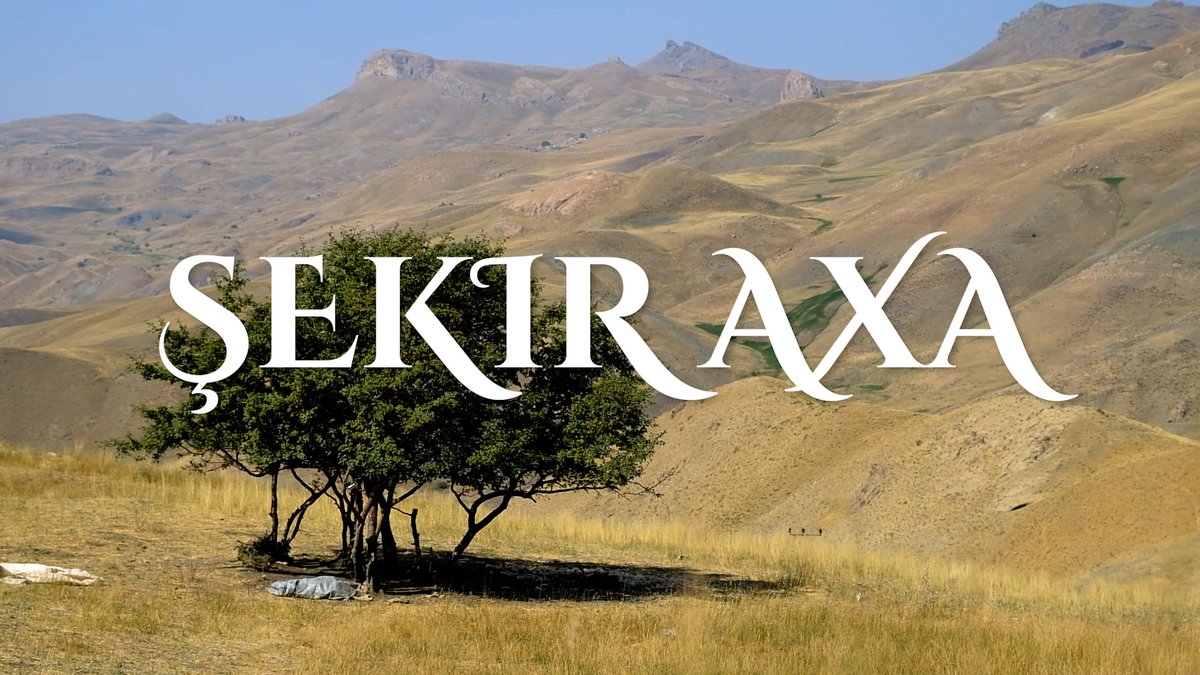 Serhat News’ten bir ilk: “Şekir Axa” belgeseliyle Kürtçe haberciliğe yeni bir soluk serhatnews.com/serhat-newsten…