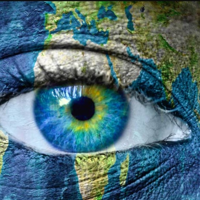 WORLD INSIGHT tweet media