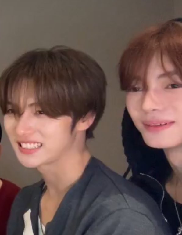 可愛い可愛いブラウンギニーとブラウンうさちゃん