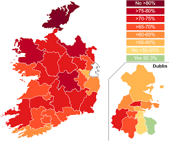 Last year, in the double referenda, every candidate running for President of Ireland and so far on the ballot voted the same way as just one small constituency in Dublin, while the rest of the country, every single constituency other than that one, voted with Maria Steen; 'No,