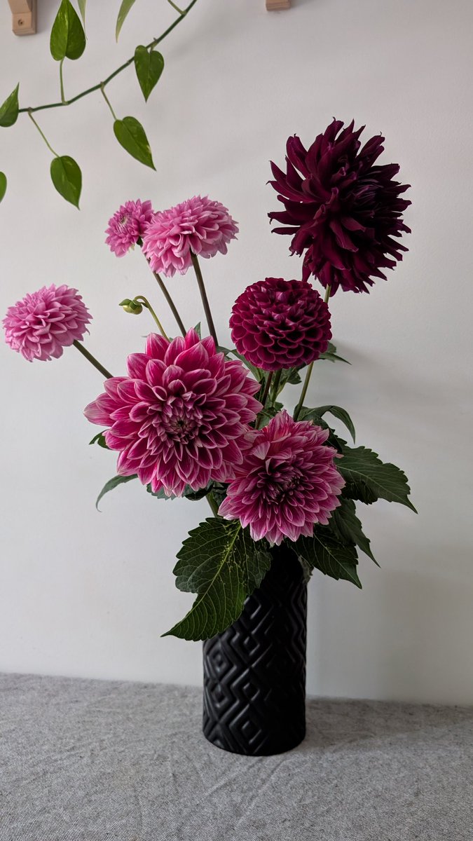 Як можна бути такими гарними?)