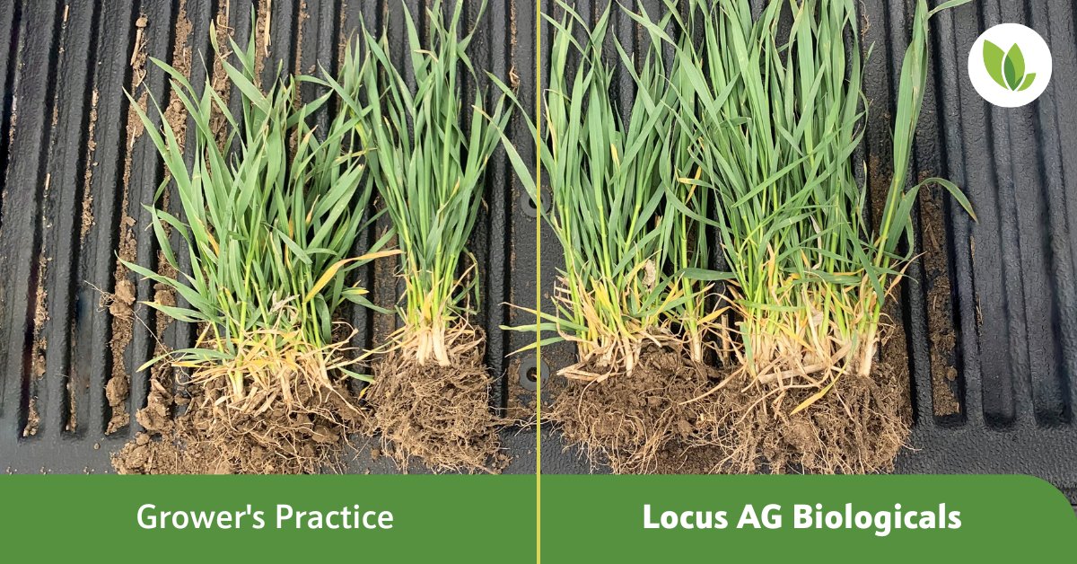 Locus Agriculture tweet media