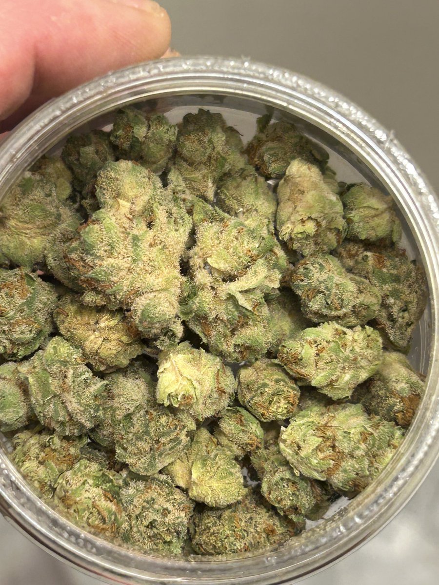 Moonbeam gelato smalls🔥😶‍🌫️😵‍💫