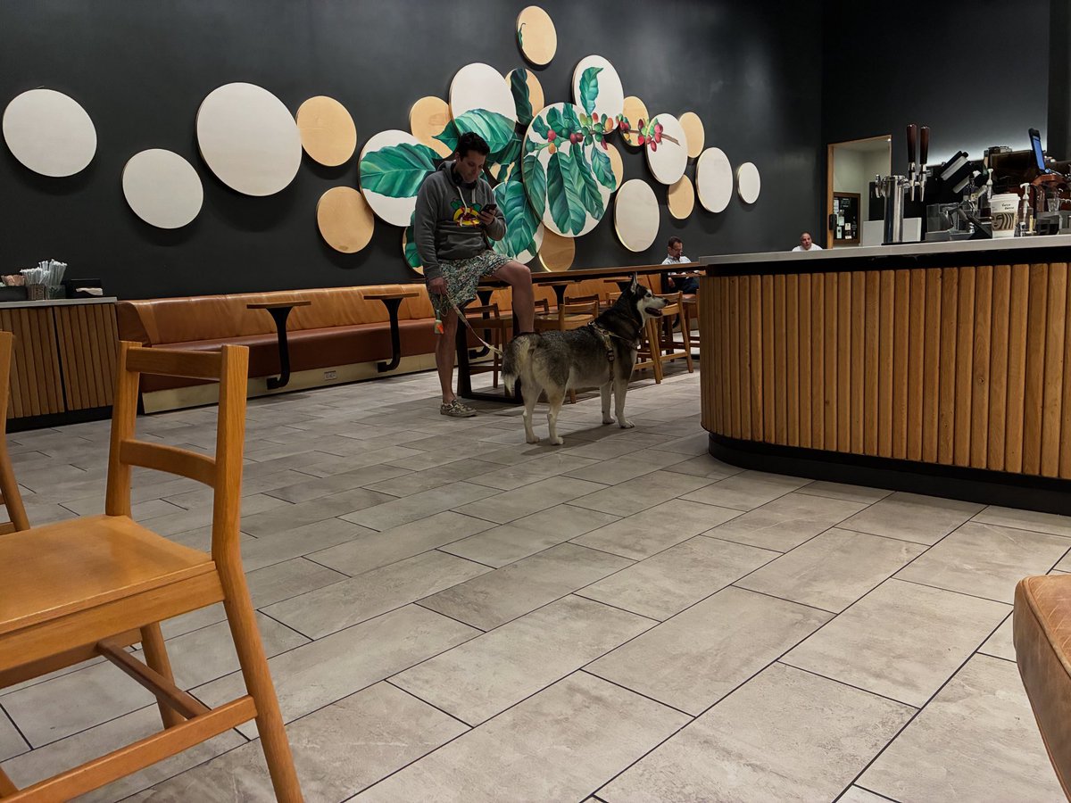 A dog walks in with his owner and orders a pup cup of whip cream and is a happy camper lol a real ruff life #starbucks @starbucks