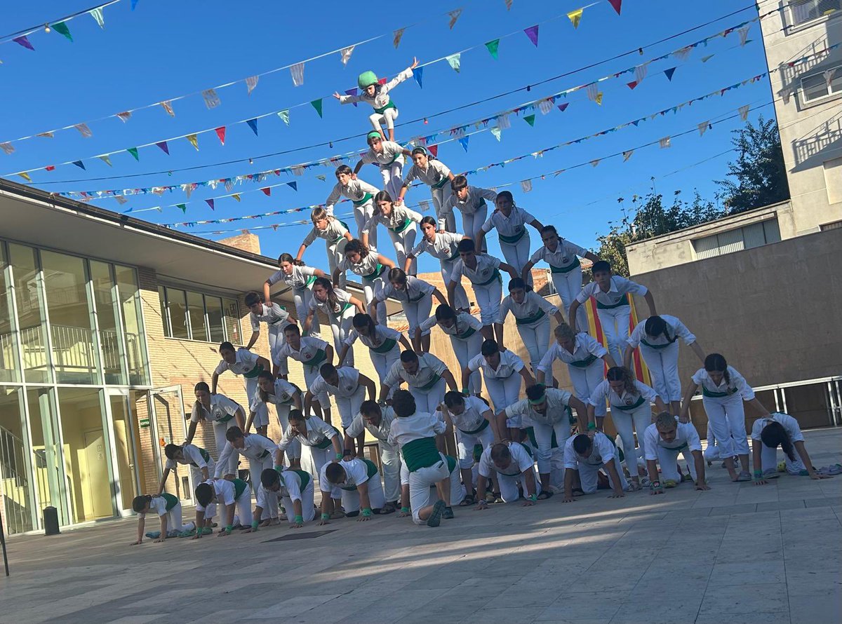 Falcons Vilafranca tweet media